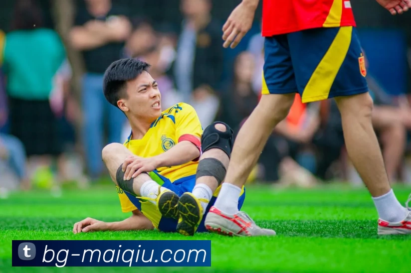 体育投注平台APP 封面图